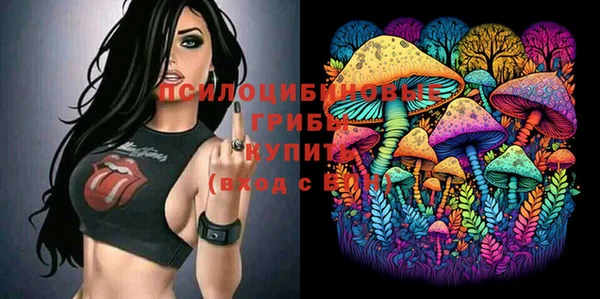 прущий лед Алексеевка