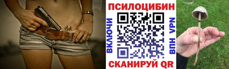 Купить где  Моршанск  Галлюциногенные грибы мицелий 